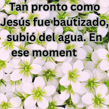 "El Bautismo de Jesús: Manifestación Divina" MATEO 3:16.