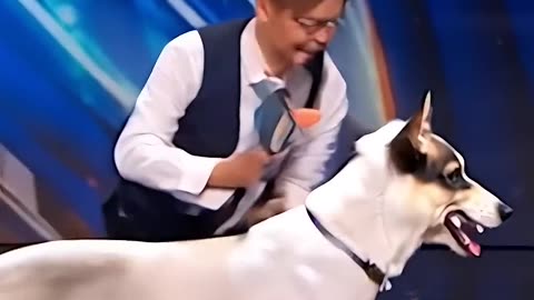 agt,americagottalent,magic,ai