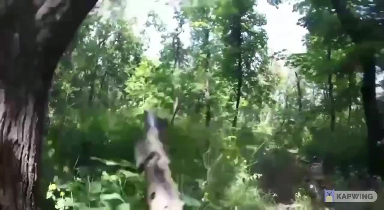 ⚡Ran into the enemy near Severodonetsk.