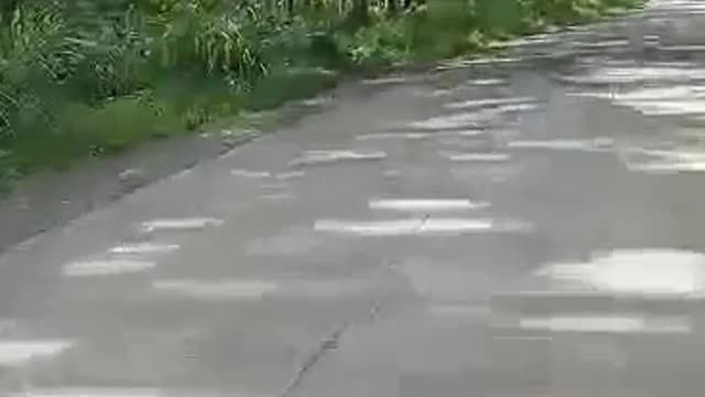 New Road By The Tatay Digong Go BUILD BUILD