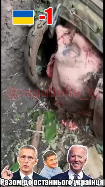 Russian Army looking for and fighting insurgents, at the Kursk area