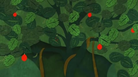 The rainforest is a huge system