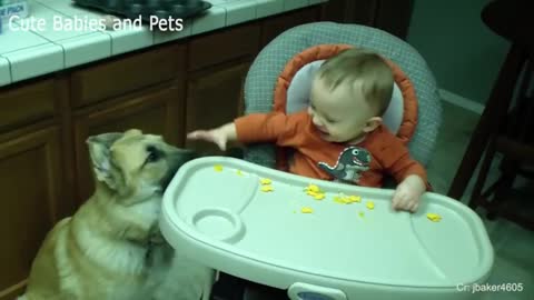 Baby - Baby Playing with German Shepherd Dog 👶🐶 There's nothing greater than Dog and Baby