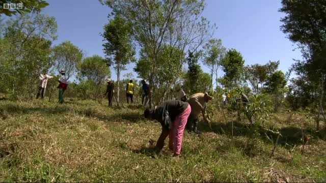 Best Of Attenborough And The Giant Egg | BBC Earth