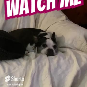 Somebody’s watching me