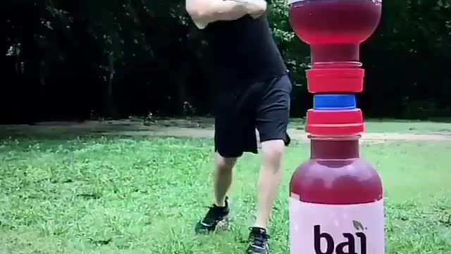 The king of the whip