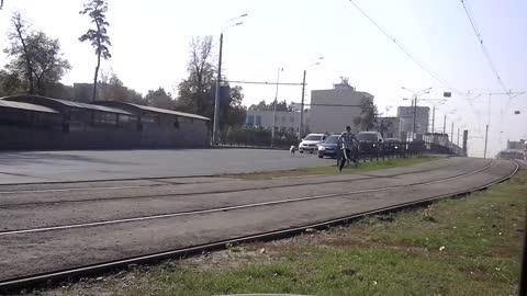 Sheep Runs From Sacrifice