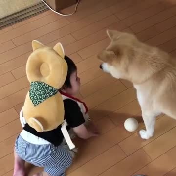 Cute baby animals Videos Compilation cutest moment of the animals - 🐶 Cutest Puppies #10