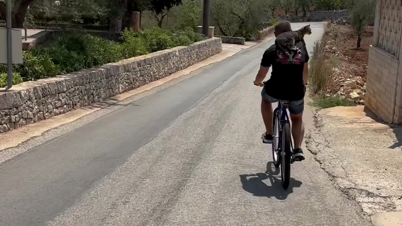 Man Takes Cat On Bicycle Rides