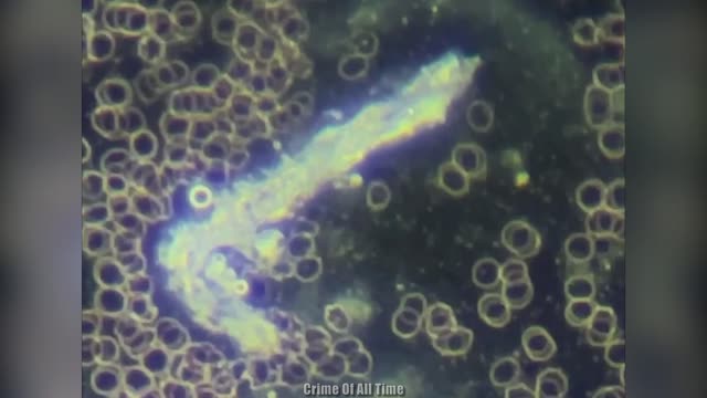 WTF IS THAT!!! INSIDE THE DEATH VAX
