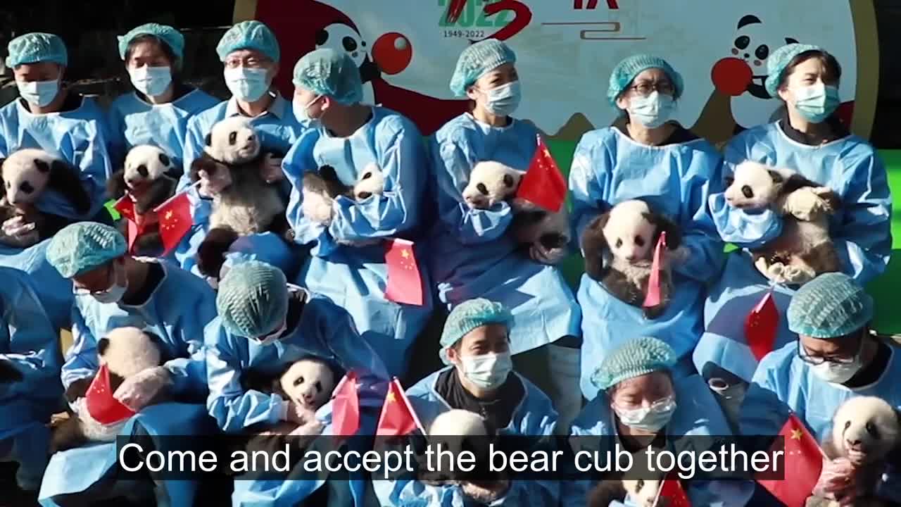 13 Panda Cubs Make Group Debut