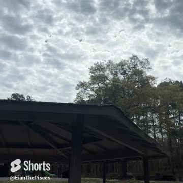 peaceful day! #shorts #fyp