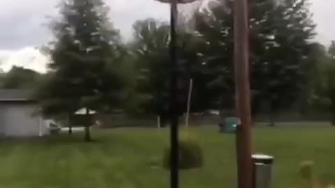 Funny Basketball Fail