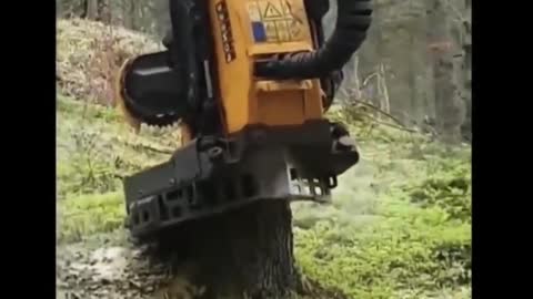 Tree Cutter