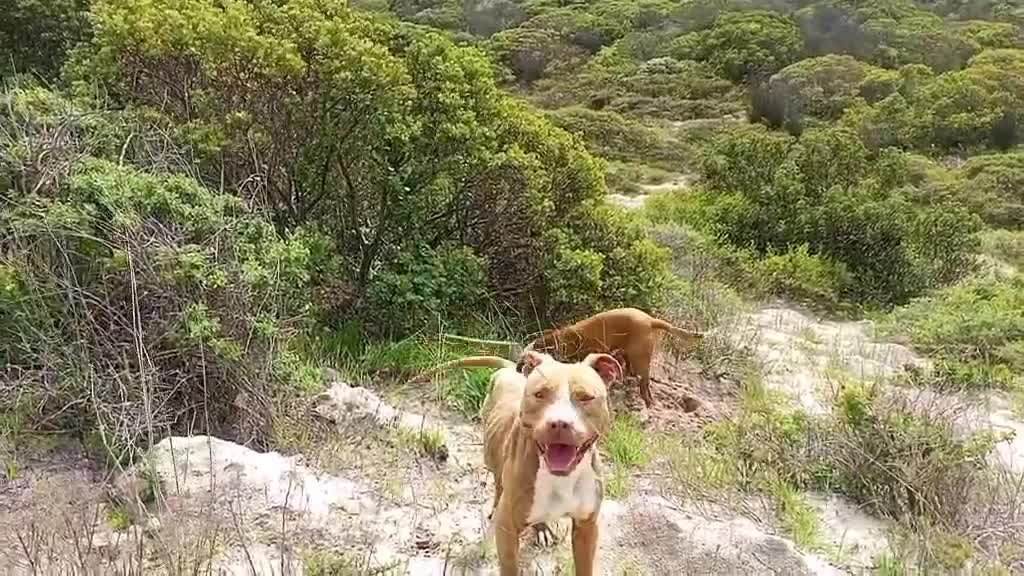 The weather is so nice today, take them out to climb the mountain. They are reluctant