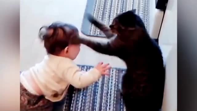 Baby vs Angry cat