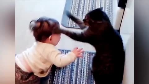 Baby vs Angry cat