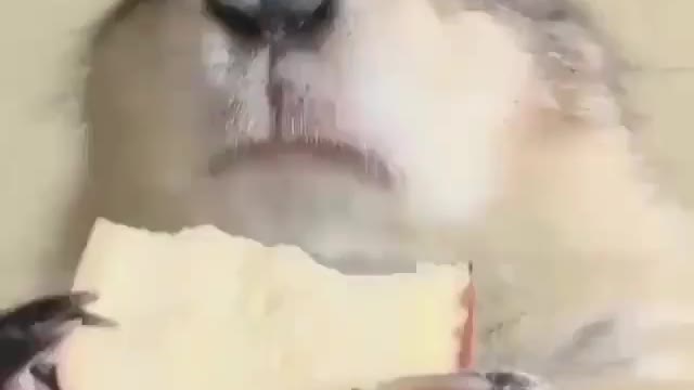 Yum yum🤣