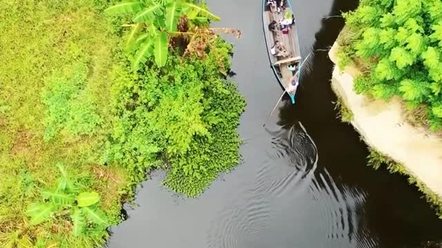 Nature | Journey by Boat | No copyright Video | Free Stock Videos | #shorts