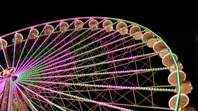 Flamboyant Light Rides