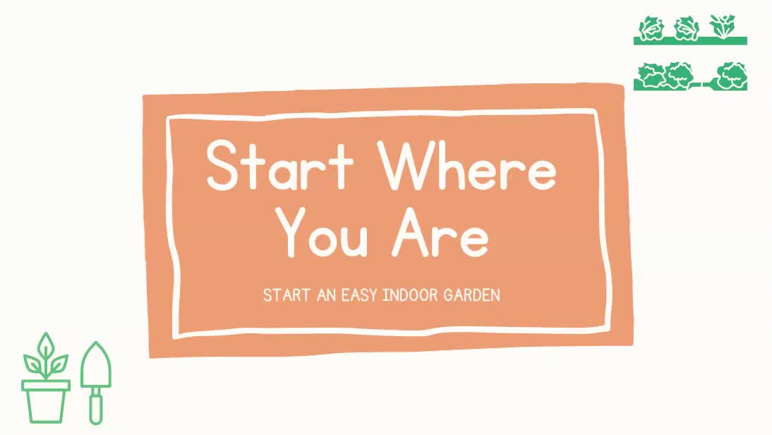 Before You Start Your Easy Indoor Garden