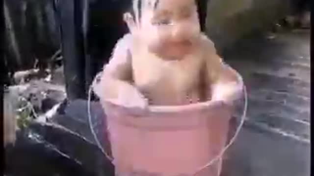 Cute Baby will be full of the funniest, cutest babies