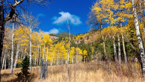 Rocky Mountain National Park Slide Show