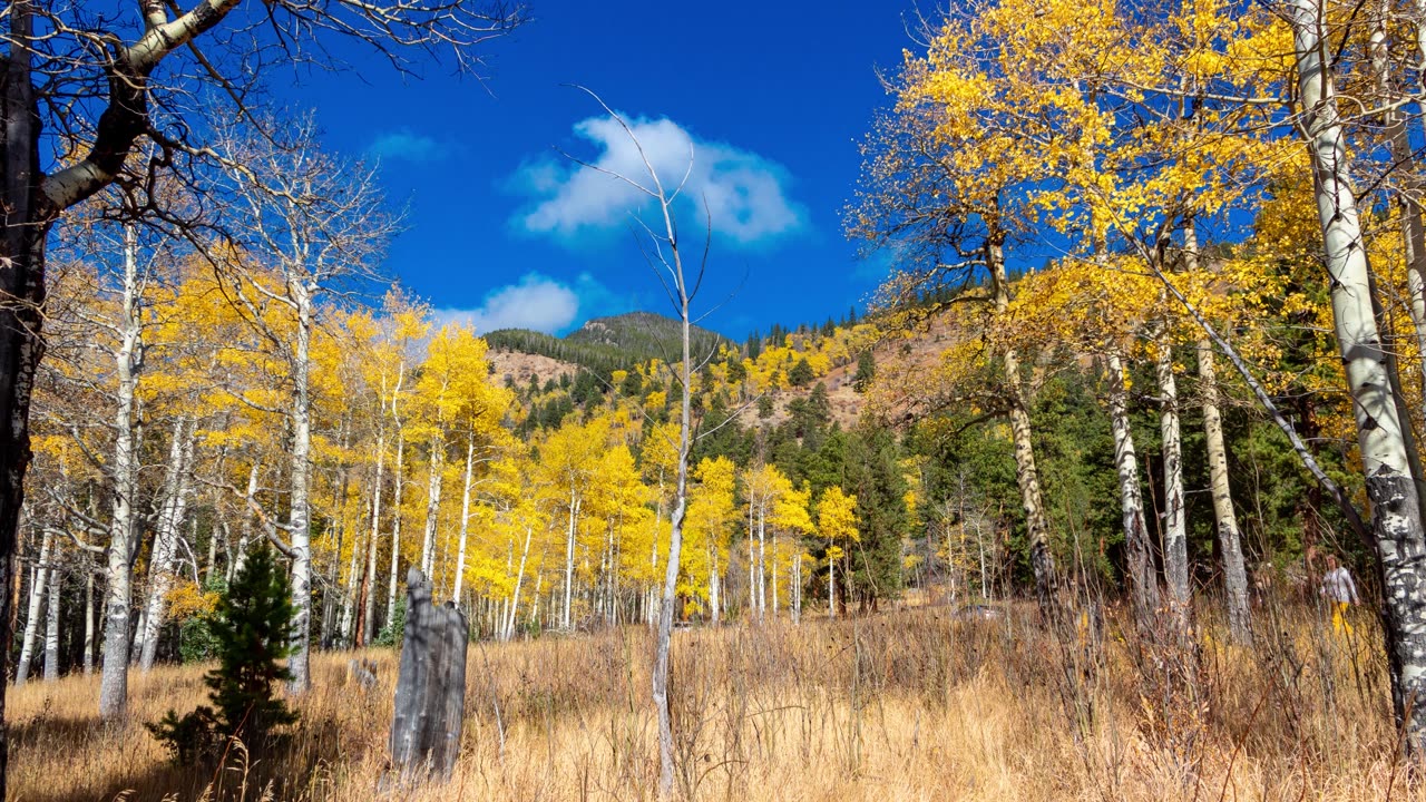 Rocky Mountain National Park Slide Show