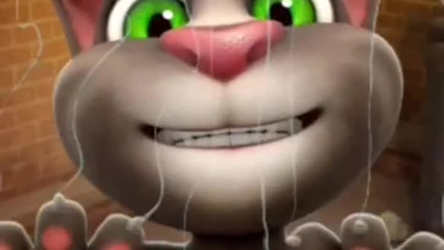 THE FUNNY CLIPS