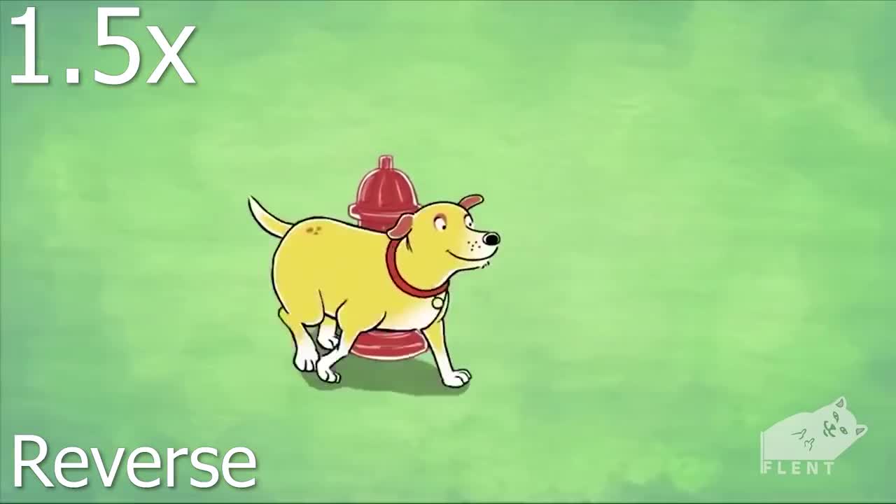 Little dog motion