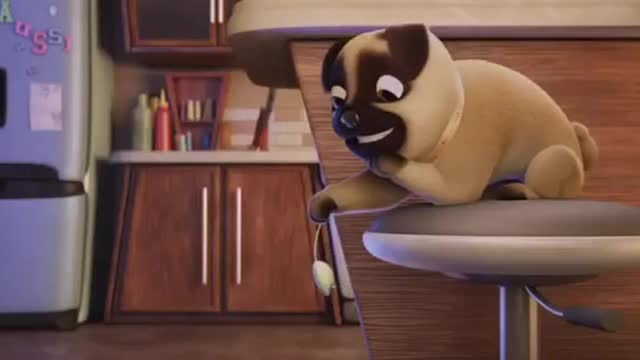 Dogs and Cats, Animated Short Film, CGI Animated Short Film, by The Animation School