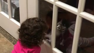 Kittens & Kids