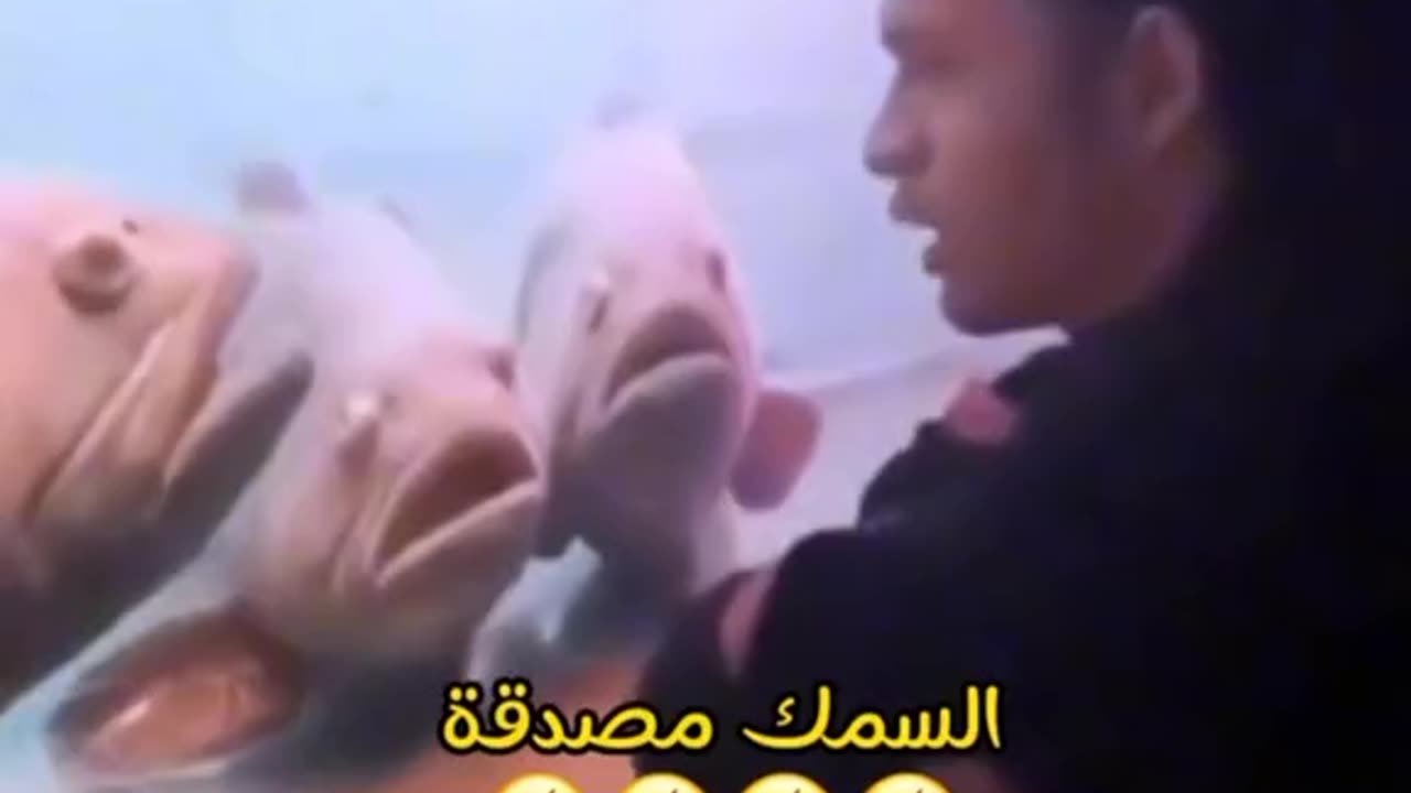 Funny video about Pakistan bills