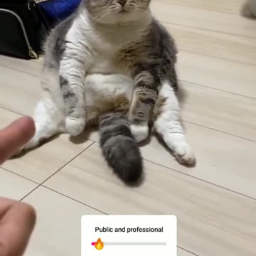 Professional actor..