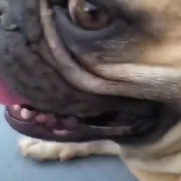 Starting on Monday like 🏎💨 SOUND ON 🔊