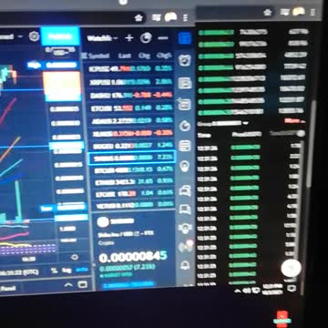 Shiba go goooo 2021 56