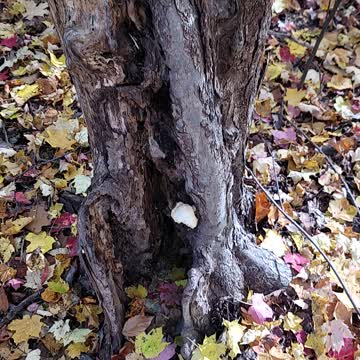 I spy pt 2 super easy.