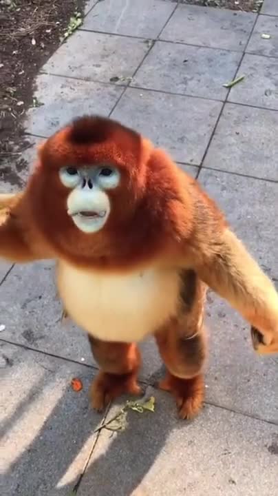 What is this miracle?