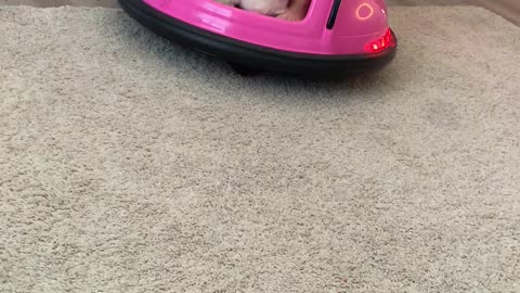 Best Friends Go for Fun Ride Together