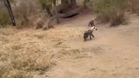 . Sabitha Game Reserve