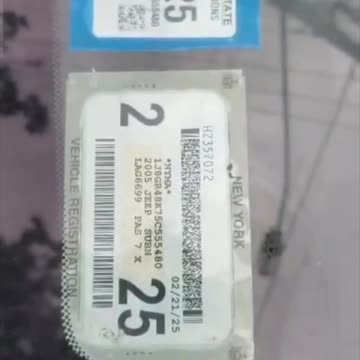 Porch pirates caught by neighbors trying to steal packages