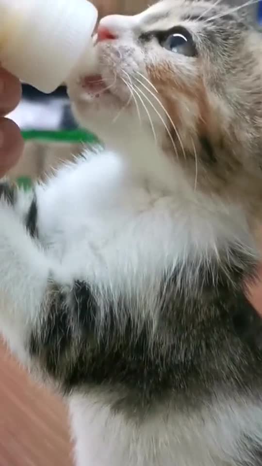 You need to know the sound can not treat any diseases!!