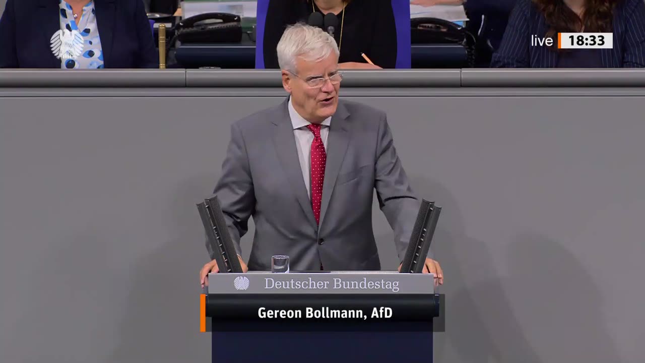 Gereon Bollmann Rede vom 17.10.2024 – Schwanger-/Mutterschaft und Unternehmertum