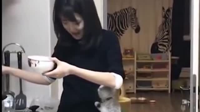 Cat disturbing her owner.