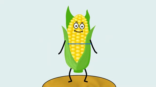 Children's Exercise Physical Education Minute " Corn Dance"