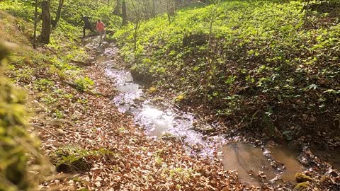 Mother And Child Running Through A Stream With Their Dog