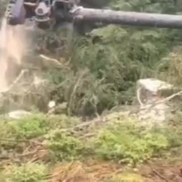 wood cutting machine modern technology