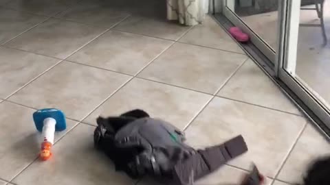 Running around with my carrier