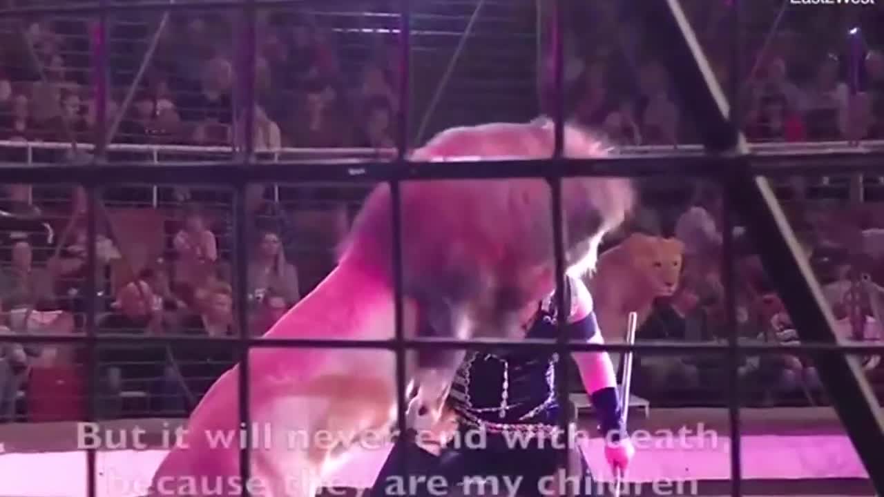 Terrifying Moment: Lion Attacks a Circus Trainer in Front of Horrified Audience in Ukraine | GoViral