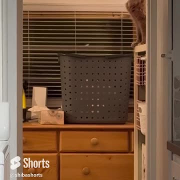 She claims she was just taking a bath. I have my doubts